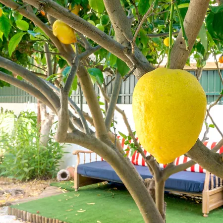 בית הארחה Roaz De Bandeira 3*