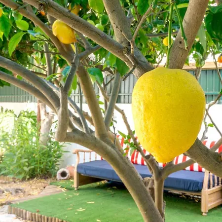 Guest house Roaz De Bandeira